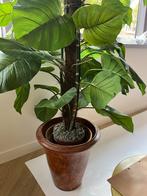 Kunstplanten Set van 3 - 190cm, Ophalen, Overige soorten, Halfschaduw, In pot