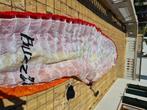 Paragliding set voor beginner of gevorderden, Sport en Fitness, Ophalen of Verzenden, Gebruikt, Complete paraglider