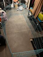 Kittenren, puppyren, Dieren en Toebehoren, Ophalen, 110 cm of meer, Ren, Minder dan 60 cm