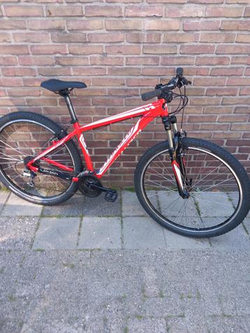 29" Specialized RockHopper in Nette Staat. beschikbaar voor biedingen