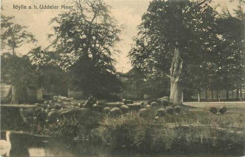 (380-175-013) Uddelermeer, Verzamelen, Ansichtkaarten | Nederland, Gelderland, Verzenden