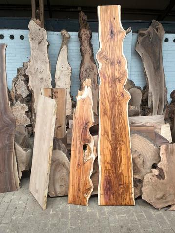 Prachtig mooi taxus hout als wandplank ook eik iep olijf enz beschikbaar voor biedingen