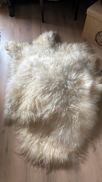 Partijtje Ijslandse schapenvachten - 100% natuurlijk! beschikbaar voor biedingen