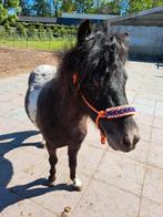 Verzorger gezocht verzorgpony's aangeboden, Dieren en Toebehoren, Paarden en Pony's | Overige Paardenspullen, Ophalen, Nieuw