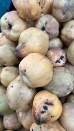 Kweeperen.  Biologisch, Diversen, Ophalen