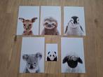 foto's van jonge dieren 5 stuks 20x30 - 1 stuk 10.5x15, Ophalen of Verzenden