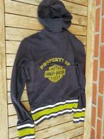 HARLEY DAVIDSON HOODIE, Motoren, Kleding | Motorkleding, Overige typen, Harley Davidson, Ophalen of Verzenden, Dames