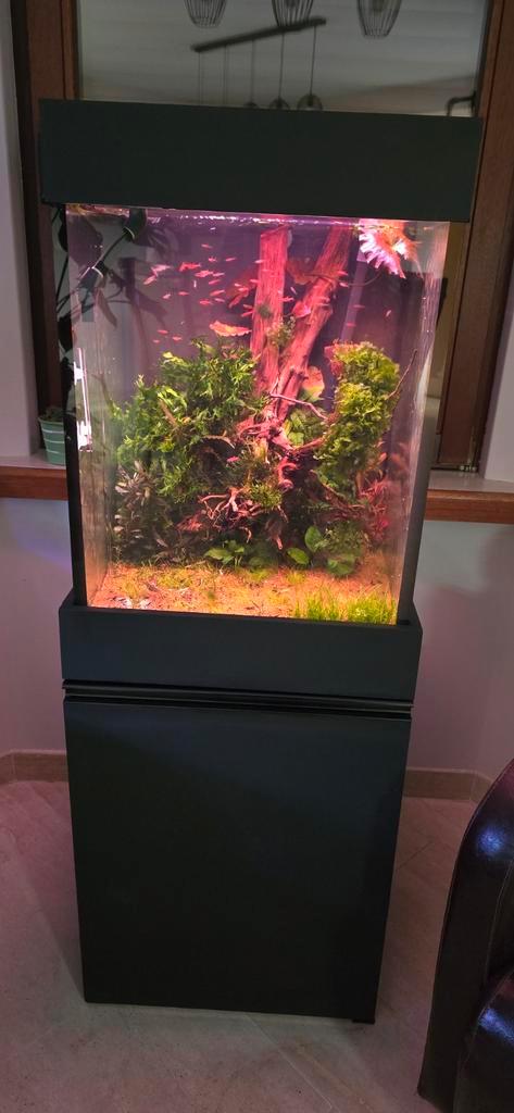 Te koop aquarium op maat gemaakt met techniek, Dieren en Toebehoren, Vissen | Aquaria en Toebehoren, Gebruikt, Leeg aquarium, Ophalen