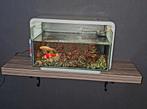 Aquarium superfish home 25, Dieren en Toebehoren, Vissen | Aquaria en Toebehoren, Ophalen, Zo goed als nieuw, Leeg aquarium