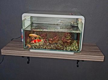 Aquarium superfish home 25 beschikbaar voor biedingen