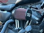 HARLEY-DAVIDSON SPORTSTER IRON XL 883 N XL883N 883Iron, 2 cilinders, HARLEY-DAVIDSON, Chopper, Bedrijf