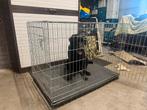 Honden bench, Dieren en Toebehoren, Hondenhokken, Ophalen, Hondenkennel, 65 tot 100 cm, Zo goed als nieuw