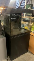 Aquarium 70x50x65 incl verlichting en onderkast, Dieren en Toebehoren, Vissen | Aquaria en Toebehoren, Ophalen, Zo goed als nieuw