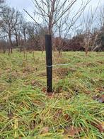 Boombeschermers 55 x 20 per 10 stuks, Tuin en Terras, Planten | Bomen, Ophalen, Volle zon, Overige soorten, Minder dan 100 cm