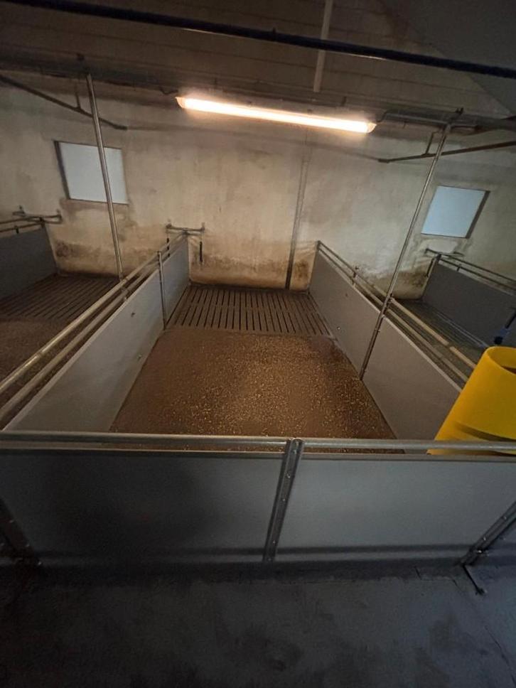 Kunststof hokinrichting vleesvarkens [818], Dieren en Toebehoren, Stalling en Weidegang