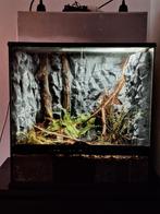 Exo terra 60x45x60, Ophalen, Gebruikt, Terrarium of Paludarium