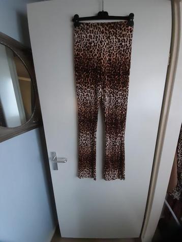 Dames panterbroek AMBIKA mt S/M beschikbaar voor biedingen