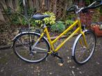 Giant X1200 XL Dames, Fietsen en Brommers, Fietsen | Dames | Damesfietsen, Ophalen, Versnellingen, Giant, 53 tot 56 cm