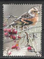 920 N beleef de natuur 2020 Keep, Verzenden, Na 1940, Gestempeld