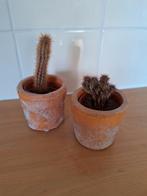 Twee kleine potjes, combineren leuk met cactussen, Ophalen of Verzenden