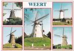 Weert - de 5 molens van Weert, Verzamelen, Ansichtkaarten | Nederland, Gelopen, Limburg, Verzenden, 1980 tot heden