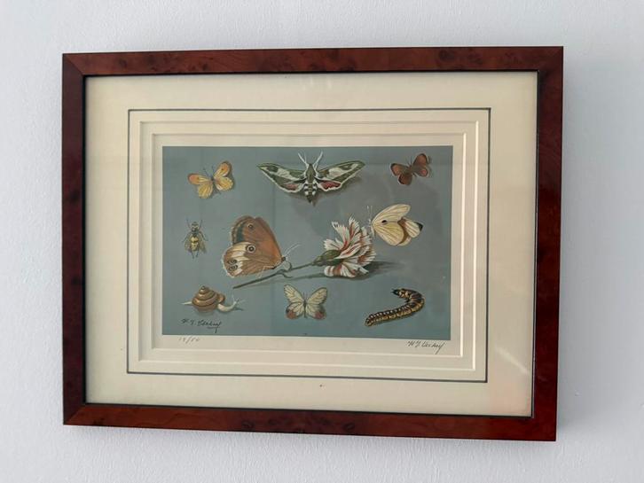 Litho 12/50 van Hans Verhoef, Antiek en Kunst, Kunst | Schilderijen | Klassiek, Ophalen of Verzenden