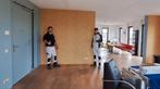 Hentex experts in behang en luxe afwerking., Diensten en Vakmensen, Schilders en Behangers, Garantie, Behangen