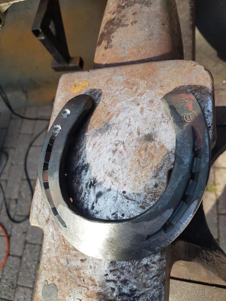 Hoefsmid, Diensten en Vakmensen, Dieren | Paarden | Verzorging, Oppas en Les