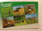 Mooi Fryslan / Friesland 21, Verzenden, 1980 tot heden, Gelopen, Friesland