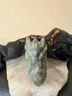 Labradoriet draak schedel skull 525 gr beschermt inzicht, Sieraden, Tassen en Uiterlijk, Edelstenen, Ophalen of Verzenden, Nieuw