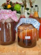 Scoby te koop! Maak zelf de lekkerste Kombucha!, Diversen, Levensmiddelen, Ophalen of Verzenden