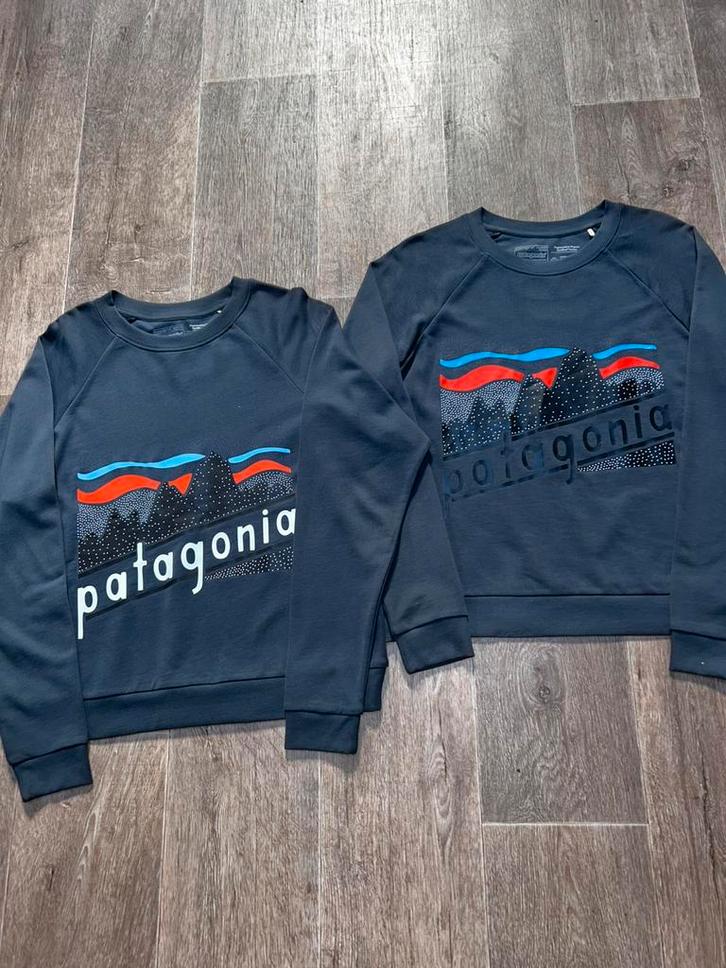 Bundel van 2 Patagonia Sweaters - Nieuw - Maat M, Kleding | Dames, Truien en Vesten, Zo goed als nieuw, Maat 38/40 (M), Blauw