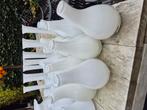 30 witte buikvaasjes leuk voor een huwelijk, Huis en Inrichting, Woonaccessoires | Vazen, Wit, Aardewerk of Porselein, Ophalen of Verzenden