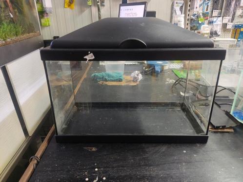 Kleine aquarium 40x20 cm, Dieren en Toebehoren, Vissen | Aquaria en Toebehoren, Gebruikt, Leeg aquarium, Ophalen
