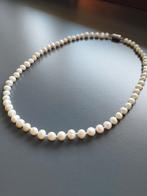 Echte zoetwater parel snoer ketting, Sieraden, Tassen en Uiterlijk, Kettingen, Verzenden, Beige, Zo goed als nieuw, Steen of Mineraal