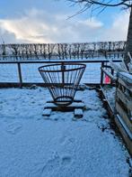 Hooiruif, Mannelijk, Schaap