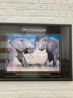 Schilderij oplossingen olifanten en met spreuk, Ophalen, 50 tot 75 cm, Zo goed als nieuw, Schilderij