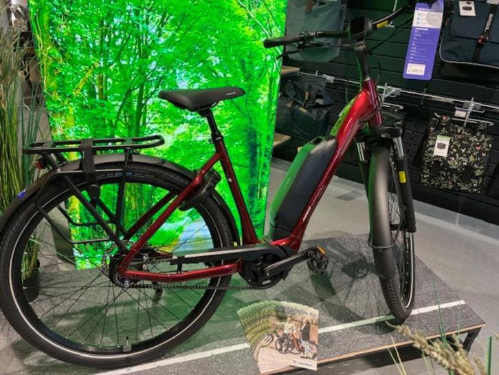 E Bike, Fietsen en Brommers, Elektrische fietsen, Nieuw, Giant, Ophalen