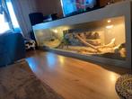 Terrarium/aquarium te koop, Dieren en Toebehoren, Reptielen en Amfibieën | Toebehoren, Ophalen of Verzenden