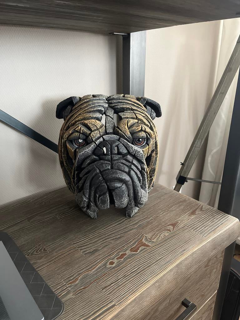 Edge Engelse Bulldog Kop - Decoratief Beeld, Tuin en Terras, Tuinbeelden, Ophalen of Verzenden, Nieuw, Overige materialen, Dierenbeeld
