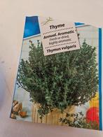Tijm thyme plantje (kekik), Tuin en Terras, Planten | Tuinplanten, Zomer, Ophalen of Verzenden, Groenteplanten, Eenjarig
