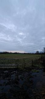 Stalling te huur Nieuweroord, Stalling