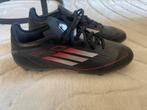 Adidas voetbalschoenen, Sport en Fitness, Voetbal, Ophalen of Verzenden, Nieuw
