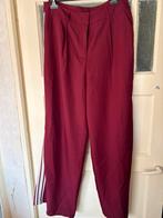 Mooie nieuw pantalon mast XL Ambika, Kleding | Dames, Ophalen of Verzenden, Nieuw, Lang