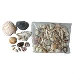 ZOMER decoratie strand schelpen, Ophalen of Verzenden, Zo goed als nieuw, X, X