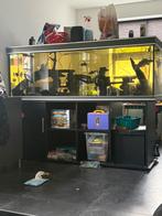 1,80 aqaurium met proffesionele eheim pomp en vissen, Dieren en Toebehoren, Ophalen, Gebruikt, Gevuld zoetwateraquarium