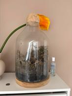 Terrarium ecosysteem, Ophalen, Gebruikt