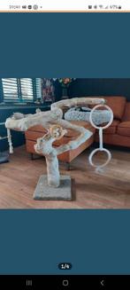 Javaboom/ papegaaien boom, Ophalen