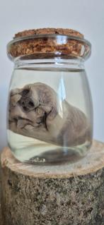 Te koop: Grauwe ganzen hart, Verzamelen, Ophalen of Verzenden, Nieuw, Beeldje of Figuurtje