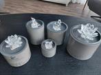Swarovski 5 stuks in doos, Verzamelen, Swarovski, Ophalen of Verzenden, Zo goed als nieuw, Figuurtje
